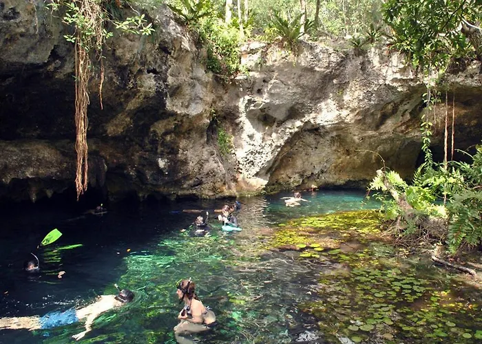 Pousada Selvaluna Eco-chic
