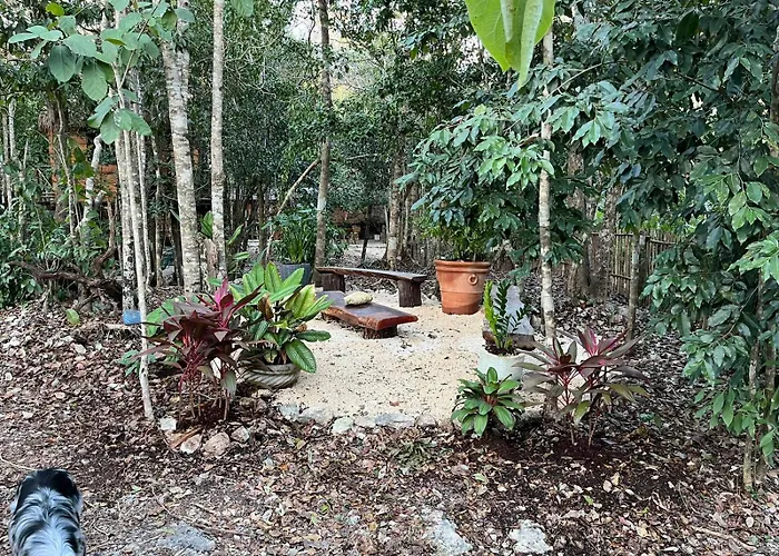 Selvaluna Eco-chic