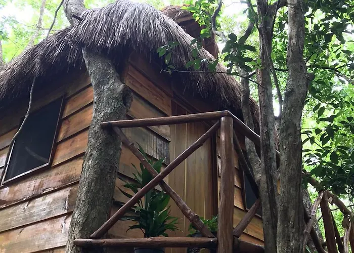 Selvaluna Eco-chic