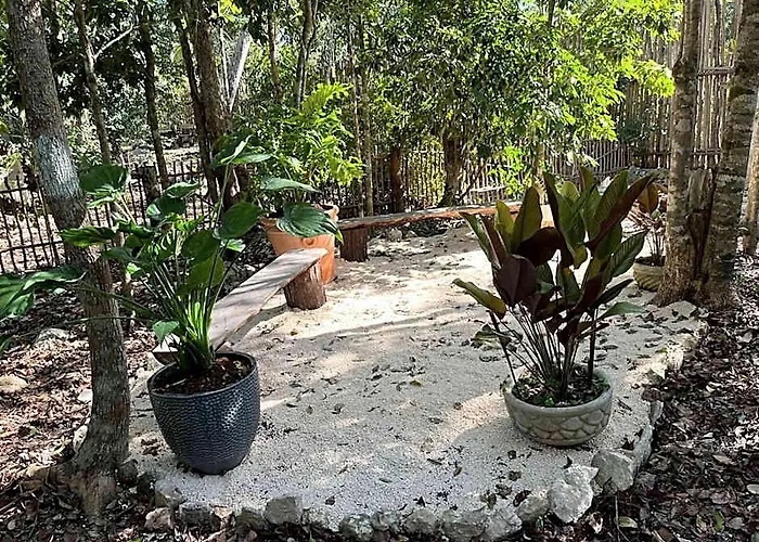 Pousada Selvaluna Eco-chic *